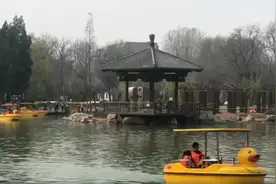 淄博在全国第二个明确提出要建设全域公园城市，底气何来？图片