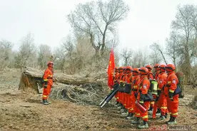 「环保在线」消防员携手护林员 筑牢胡杨林“防火墙”图片