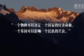 新华全媒+｜共建地球生命共同体｜种子入库记视频封面