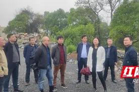 湖南省自然资源厅来湘西州开展月清“三地两矿”专题调研督导图片