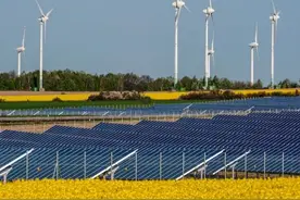 国际光伏巨头晶科能源净利润下滑74.4%，未来增长寄希望于中国市场图片