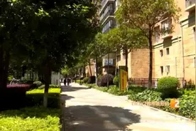 呕吐、抽搐……昆明一小区10多只猫狗离奇死亡！当天都去过同一个地方图片
