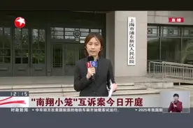 “南翔小笼”互诉案今日开庭：“豫园南翔”诉“嘉定南翔”案今天下午在浦东法院开庭审判视频封面