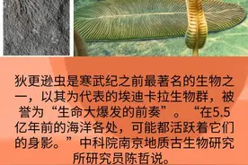科学家在三峡发现奇特“指纹”，谁留下的？图片