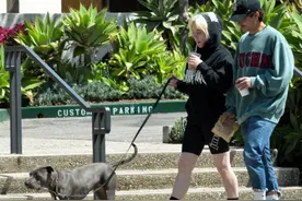 碧梨曝恋情？与29岁马修·泰勒逛街遛狗行为亲密图片