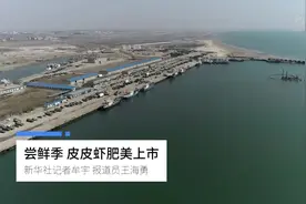 尝鲜季 皮皮虾肥美上市视频封面