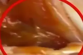 女子称烤鸡腿吃一半发现蠕动活蛆！商家：温度这么高怎么还会动？图片