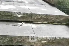 小心！福州多个小区“蛇出没”，这些方法教你“防蛇”图片