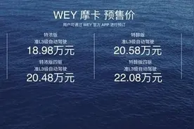 WEY摩卡上海车展正式预售 携手体验官姚安娜同台走秀图片