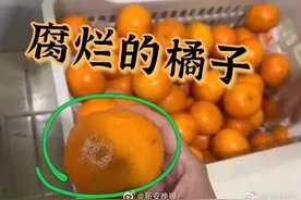 家长突袭幼儿园发现变质蔬菜水果，园长已被停职图片