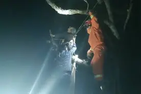 45秒｜惊险！淄博一80岁老人为摘香椿被困树上 消防紧急救援视频封面