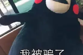 实施“杀猪盘”的3个骗子抓到啦……图片