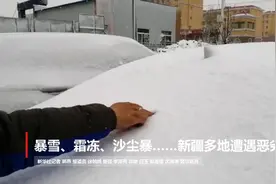 暴雪、霜冻、沙尘暴……新疆多地遭遇恶劣天气视频封面