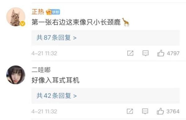 全球仅有一株！这些只生长在中国的珍稀植物，你知道哪些？