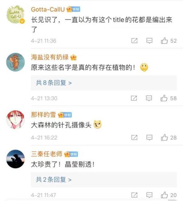 全球仅有一株！这些只生长在中国的珍稀植物，你知道哪些？
