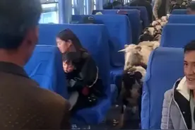 火车上猪羊成群穿行！全国81对“慢火车”跑出乡村振兴加速度图片