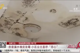 入住5年,房屋漏水不断致墙皮发霉，开发商越修越严重，业主：恶心视频封面