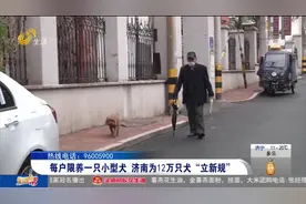 文明养犬，济南出手了！每户限养一只小型犬，遗弃犬只罚款2000元视频封面