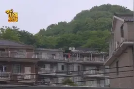 杭州城西来了一只成精的猴子，打开门偷吃，关上门溜走图片