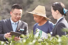 数字赋能，农行福建分行谱写金融服务乡村振兴新篇章图片
