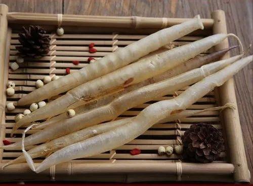 花胶是卷的 2026年花胶是一片片的好还是卷曲的好