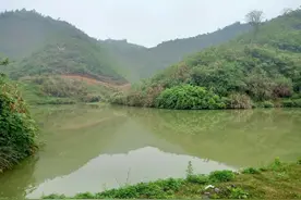 两姐弟沉入塘底，一个已没了呼吸！63岁老农累瘫在地，全救活了图片