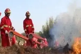 应急科普 | 森林防火警示教育片图片