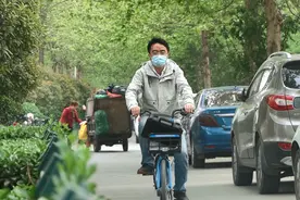 最凡尔赛的手机种树人：不多不多 也就1300多棵图片