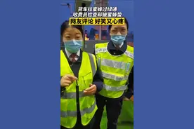 货车拉蜜蜂过绿通 收费员检查却被蜜蜂蛰视频封面