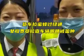 货车拉蜜蜂过绿通，女收费员检查车辆眼睛被蛰肿，网友：心疼收费小姐姐！视频封面