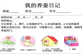 晚潮｜三年级小朋友养蚕手册图片