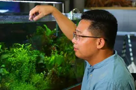 陈亚明和他的水族王国图片