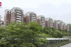 政府出资一半！布吉这个老小区更换3部“高龄”电梯图片