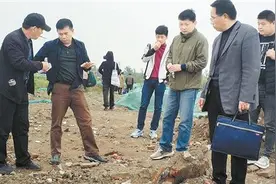 商丘老南关古城遗址开始前期勘探图片