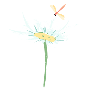 营养素（第一期 蛋白质）