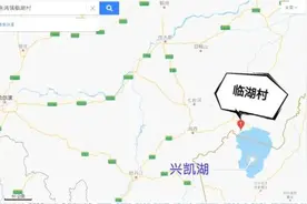 密山猛虎进村咬伤村民！路过车玻璃被撞碎，正在抓捕中……图片