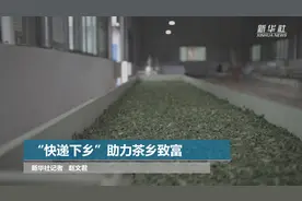 “快递下乡”助力茶乡致富视频封面