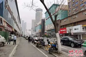郑州太康路地下已空不适合种树 市民建议赶快将三棵濒死之树移走图片