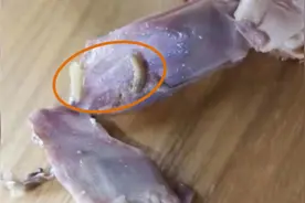 安医大学生称在食堂吃出蛆虫，学校：食材封存待检视频封面