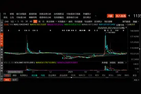 被质疑操纵可转债，林园独家回复一财：从未标榜自己是长线投资图片