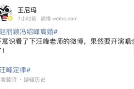 赵丽颖冯绍峰离婚，“10亿体量”婚姻失败背后的资本暗流图片