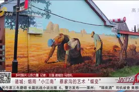 人在“画中游”！艺术家驻村创作，农民变画家，古老村落华丽蜕变视频封面