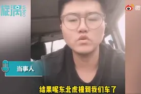 被东北虎拍碎车窗亲历者发声：真的非常害怕图片