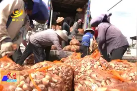 高新区平冈：产业融合助力乡村振兴图片