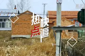 热点快追丨遇到东北虎该咋办？来听专家支招图片