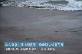山东青岛：休渔期将至 渔港码头供需两旺视频封面