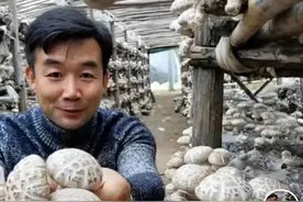 “造口人”林俊的别样人生图片