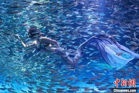 童话变现实“美人鱼”与万尾银鱼共舞南京海底世界图片