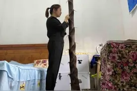 湖南桃江一教师宿舍竹笋破土而出 为了安全即将挖除图片