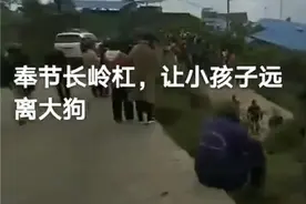 重庆8岁男童上学途中被狗咬死，村民：狗主人养了三只狗防贼图片
